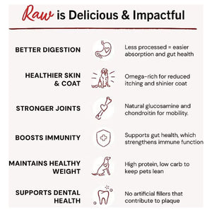 STELLA & CHEWY'S Frozen Dog Food Dinner Patties Duck Duck Goose