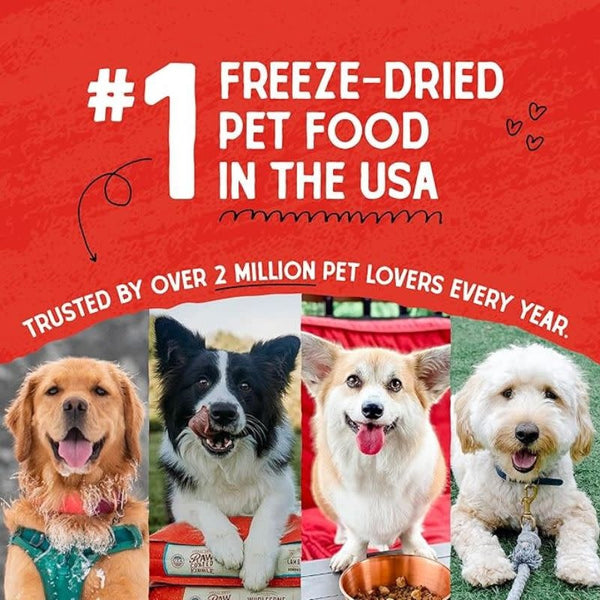 STELLA & CHEWY'S Frozen Dog Food Dinner Patties Tantalizing Turkey