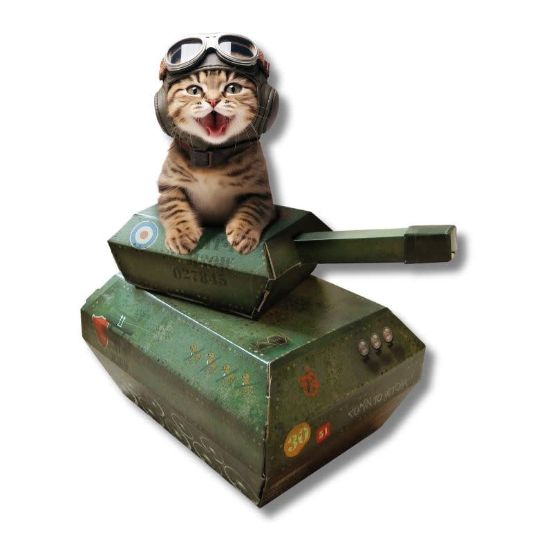 SUCK US Cat Playhouse Tank