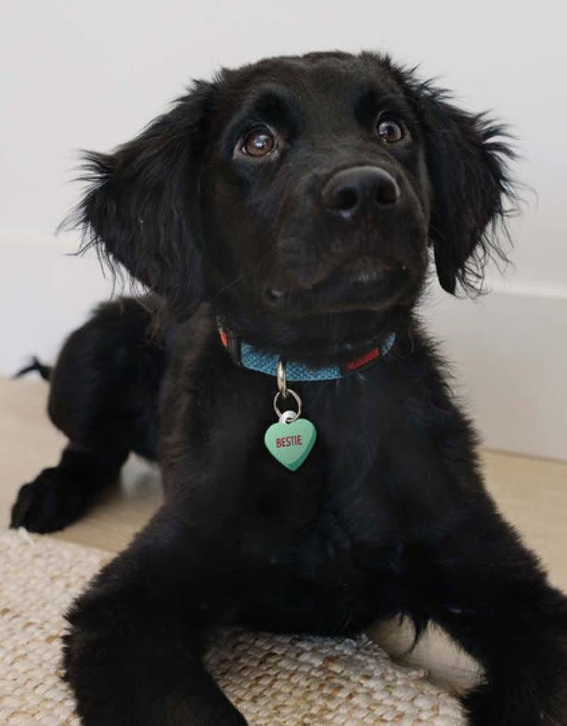 QUICK-TAG Sweetheart Bestie Heart S