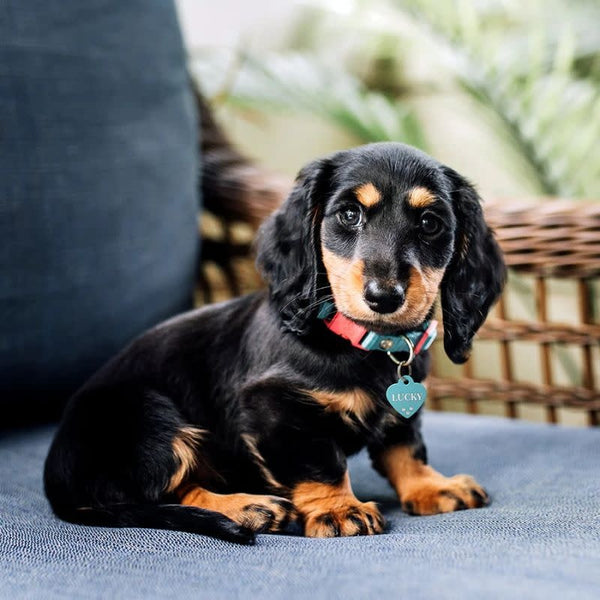 QUICK-TAG Turquoise Painted Brass Heart with Crystals Small