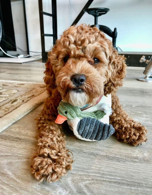 TALL TAILS Dog Squeaker Duck