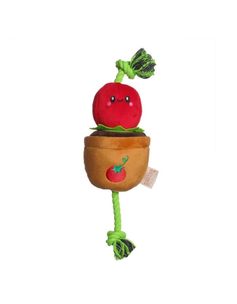 TERRITORY 2 in1 Dog Toy Tug Tomato
