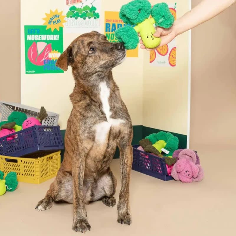 THE FURRY FOLKS Broccoli Nose Work Toy