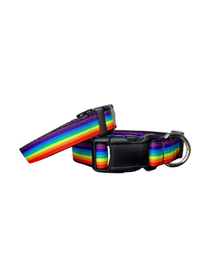 THE MAINE POOCH Dog Collar Rainbow