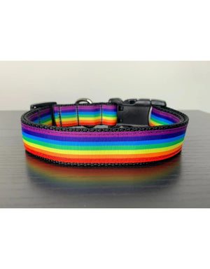 THE MAINE POOCH Dog Collar Rainbow