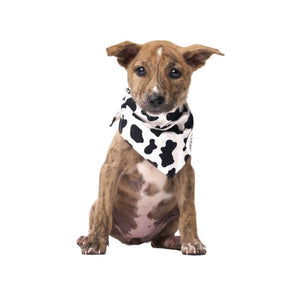 THE PAWS Bandana Holy Cow