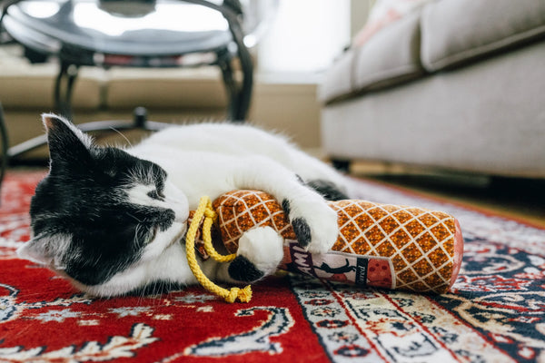 P.L.A.Y. Feline Frenzy Salami Slammer Kicker Toy