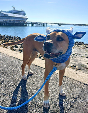 ZOO SNOODS Blue Ox