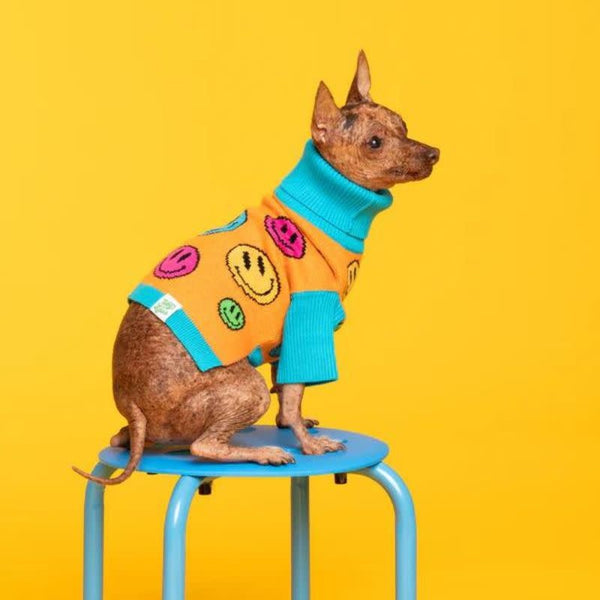 TOBY & LINUS Dog Sweater How Are You Feeling?