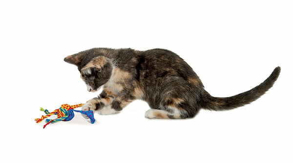 CATSTAGES Tons of Tails Cat Toy