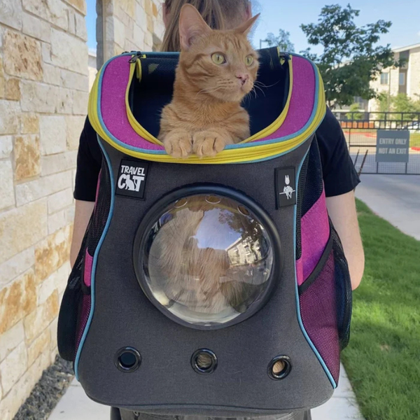 TRAVEL CAT Fat Cat Backpack Stray X Travel Limited Edition