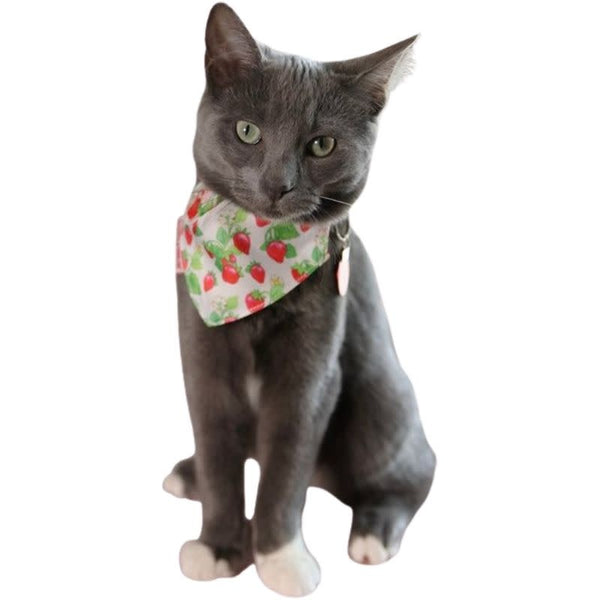 TRAVEL CAT Strawberry Shortcake x Travel Cat Bandana