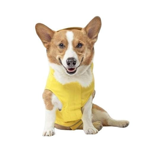 CANADA POOCH Torrential Tracker Rain Coat