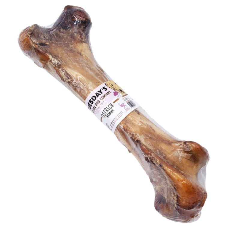 TUESDAY'S Ostrich Femur Bone