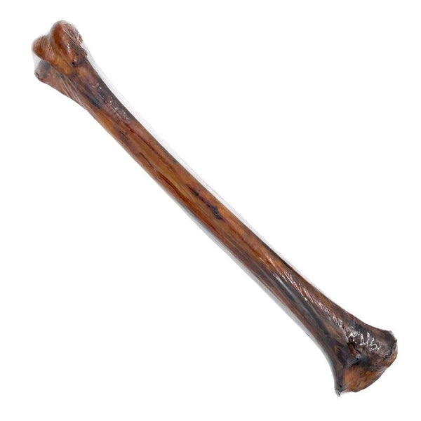 TUESDAY'S Ostrich Long Bone Dog Chew