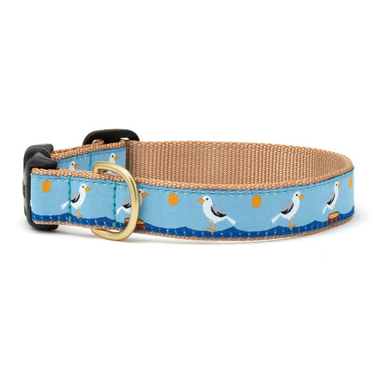 UP COUNTRY Dog Collar Gull Watch