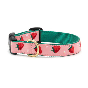 UP COUNTRY Dog Collar Strawberry Fields