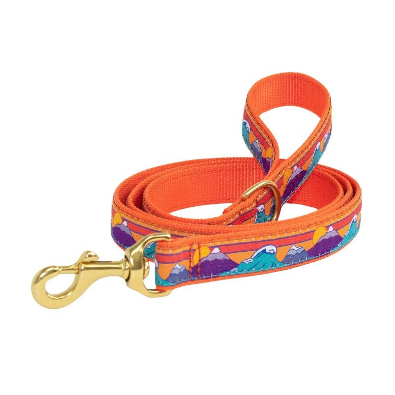 UP COUNTRY Lead Ski and Surf