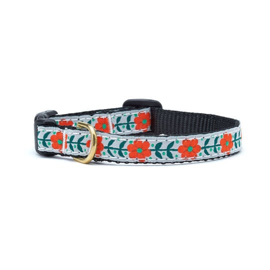 UP COUNTRY Small Breed Dog Collar Orange You Pretty