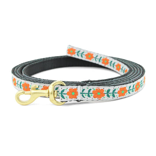 UP COUNTRY Small Breed Lead Orange You Pretty