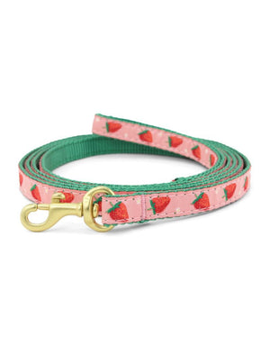 UP COUNTRY Small Breed  Lead Strawberry Fields