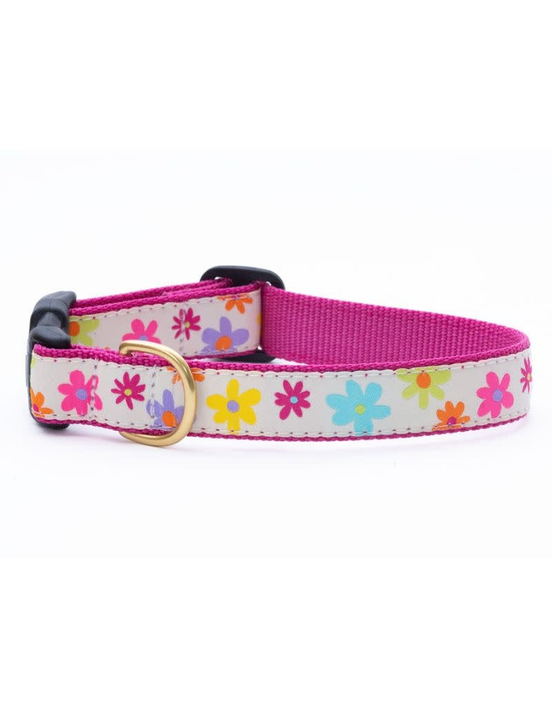 UP COUNTRY Dog Collar Spring Fever