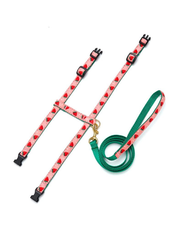 UP COUNTRY Cat Harness Set Strawberry Fields
