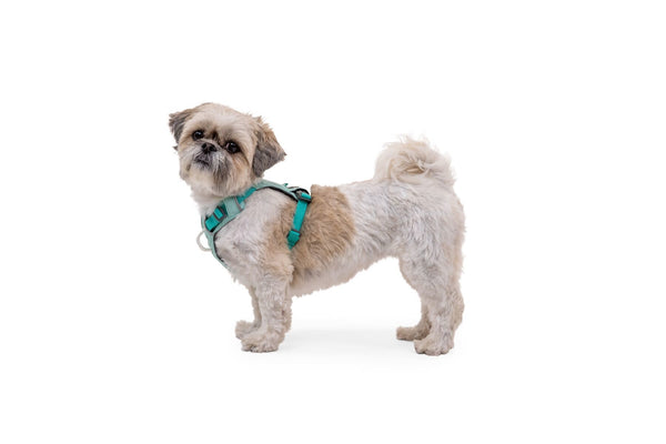 RUFFWEAR Hi & Light Harness - Sage Green