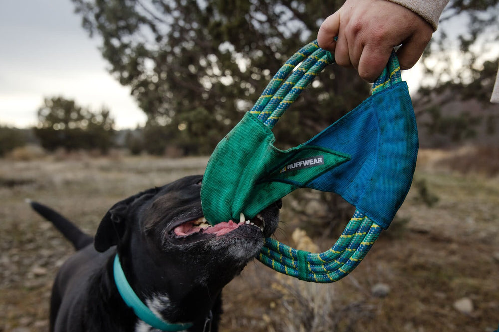 RUFFWEAR Pacific Ring Toy Aurora Teal