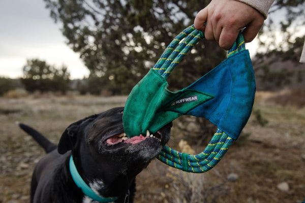 RUFFWEAR Pacific Ring Toy Aurora Teal