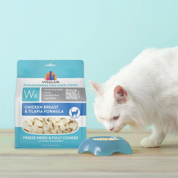 WERUVA WX Chicken & Talapia Freeze-dried Cat Food