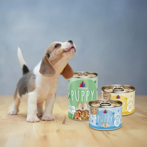 WERUVA Puppy Chicken Formula Canned Dog Food Case
