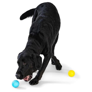 WEST PAW Boundr Balls 2pk Dandelion + Aqua Blue