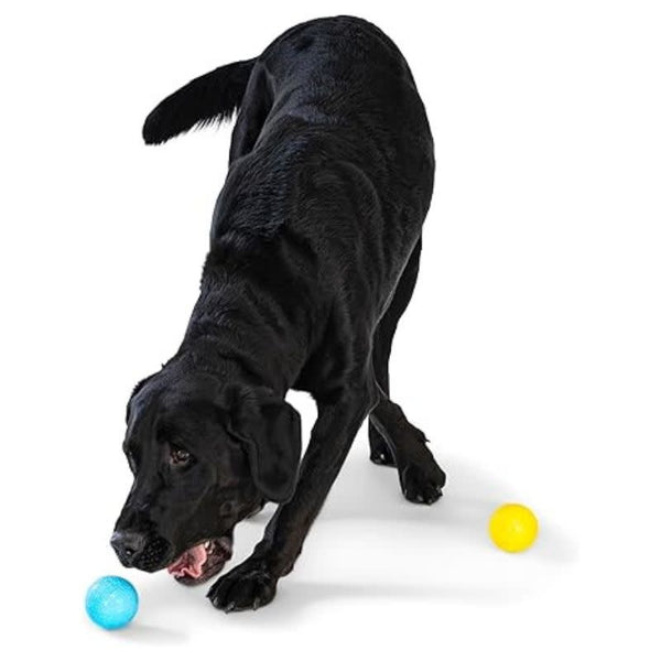 WEST PAW Boundr Balls 2pk Dandelion + Aqua Blue