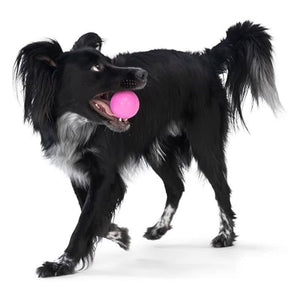 WEST PAW Boundr Balls 2pk Dandelion + Hot Pink