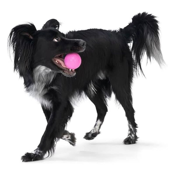 WEST PAW Boundr Balls 2pk Dandelion + Hot Pink