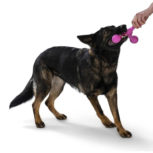 WEST PAW Skamp Hot Pink