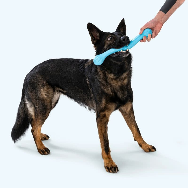 WEST PAW Zwig Aqua Blue