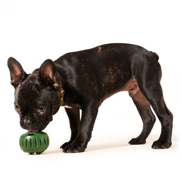 WOOF Dog Pupsicle Pops Chicken Peanut Butter