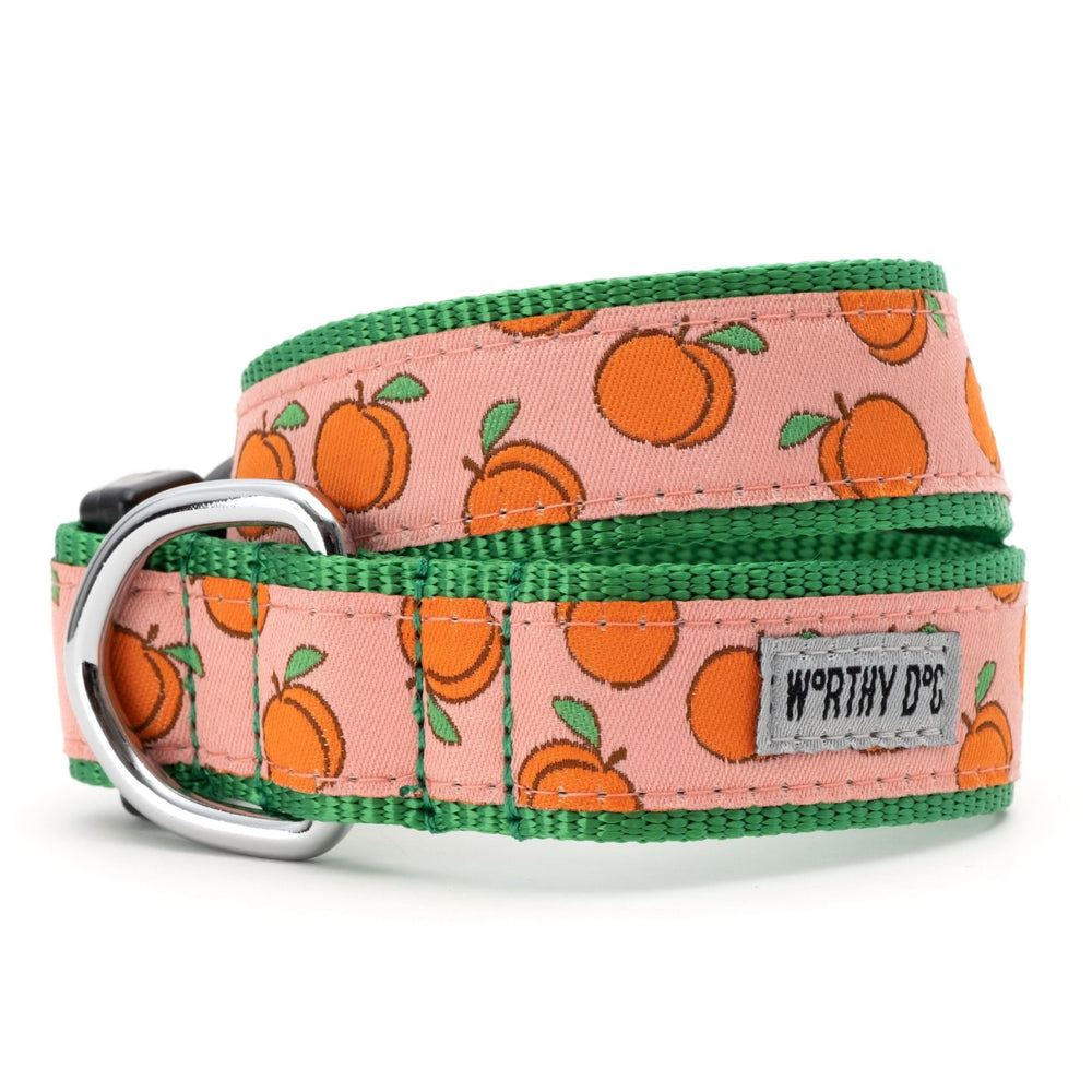 WORTHY DOG Dog Collar Peachy Keen