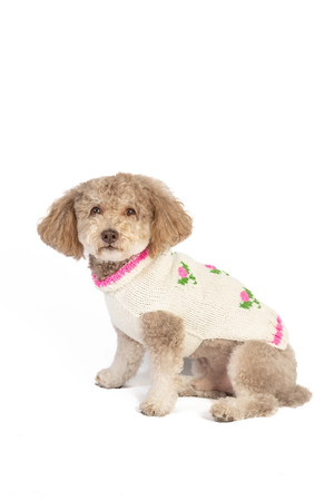 CHILLY DOG Rosebud Sweater