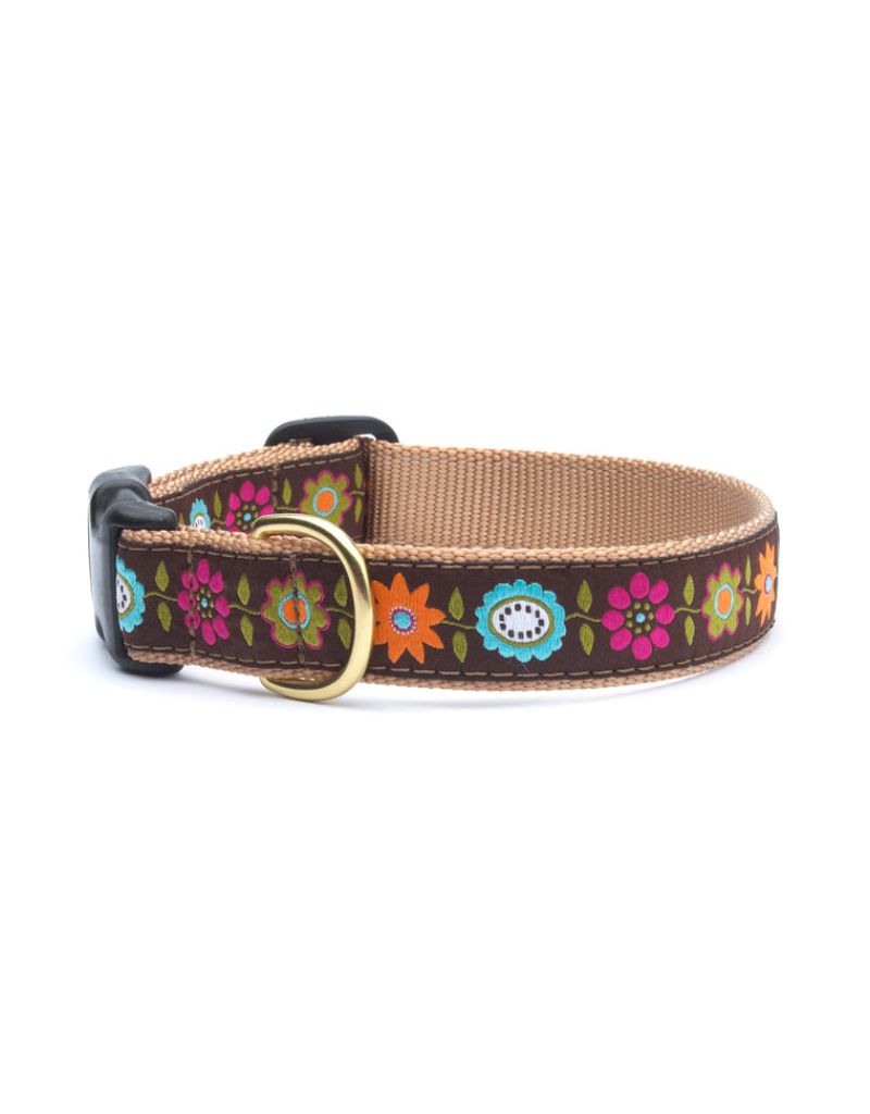 UP COUNTRY Small Breed Dog Collar Bella Flora