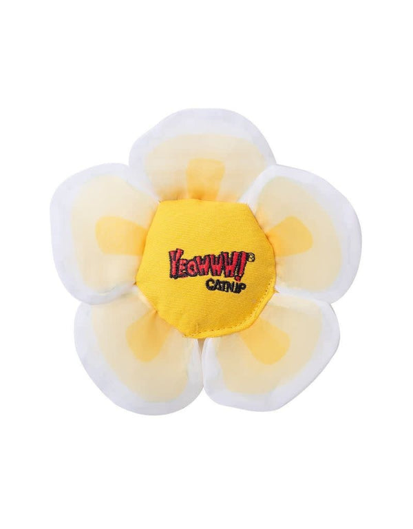 YEOWWW Cat Toy Catnip Daisy Flower Tops White