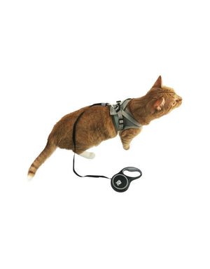 The Captain Retractable Leash for Cats