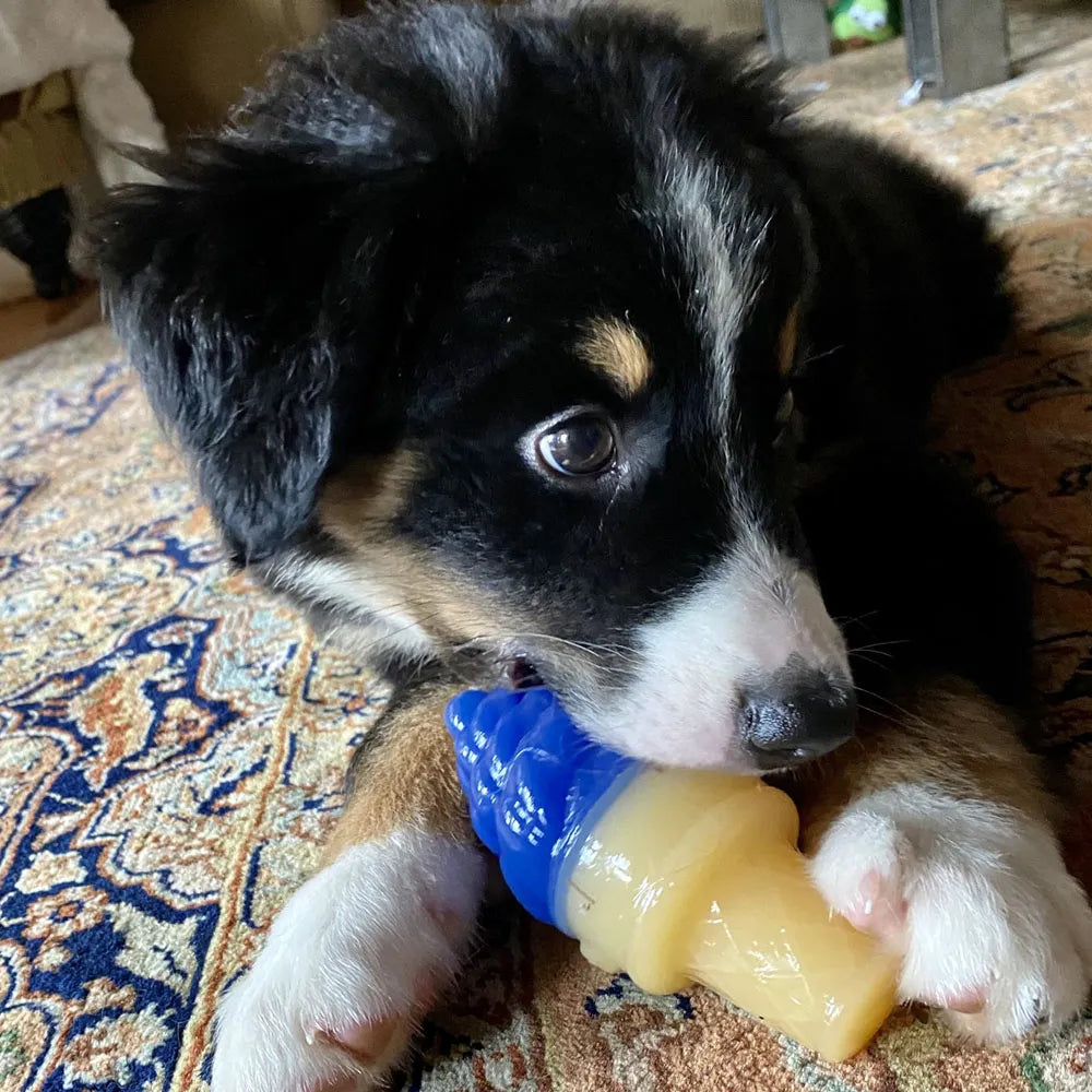 COOL PUP Ice Cream Cone Toy