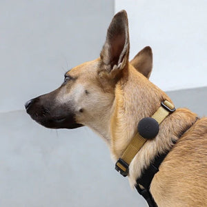 ZEE.DOG Air Tag Holder Black